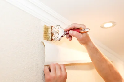 Pose de papier peint à Anneyron — revêtements muraux et toiles de verre